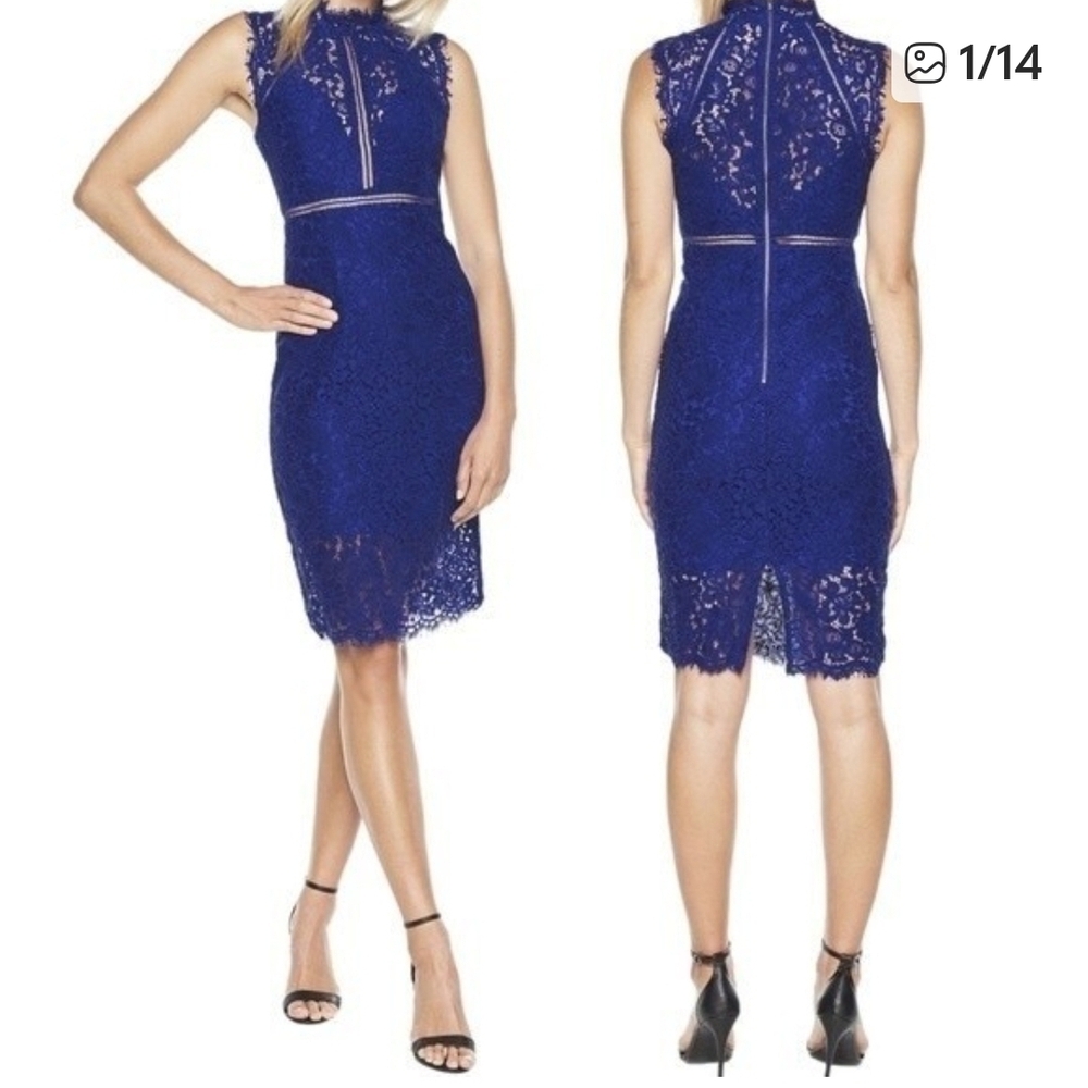 Bardot Sleeveless Lace Midi Dress in Royal Blue